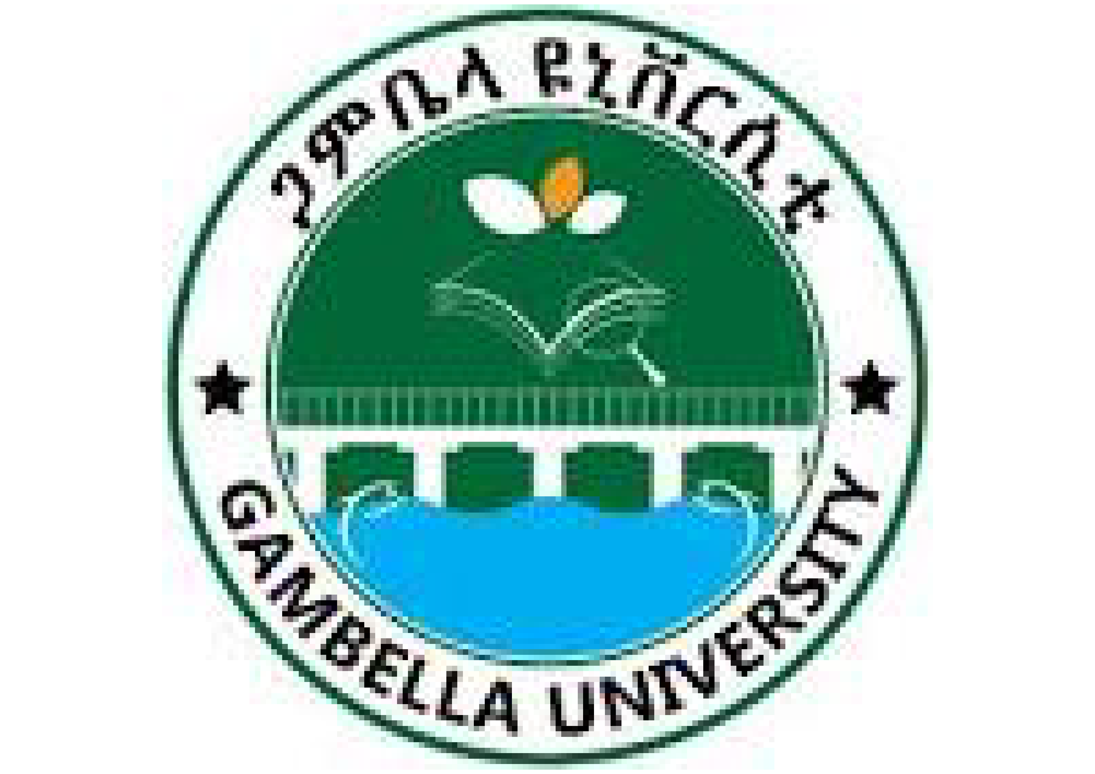 Gambella University
