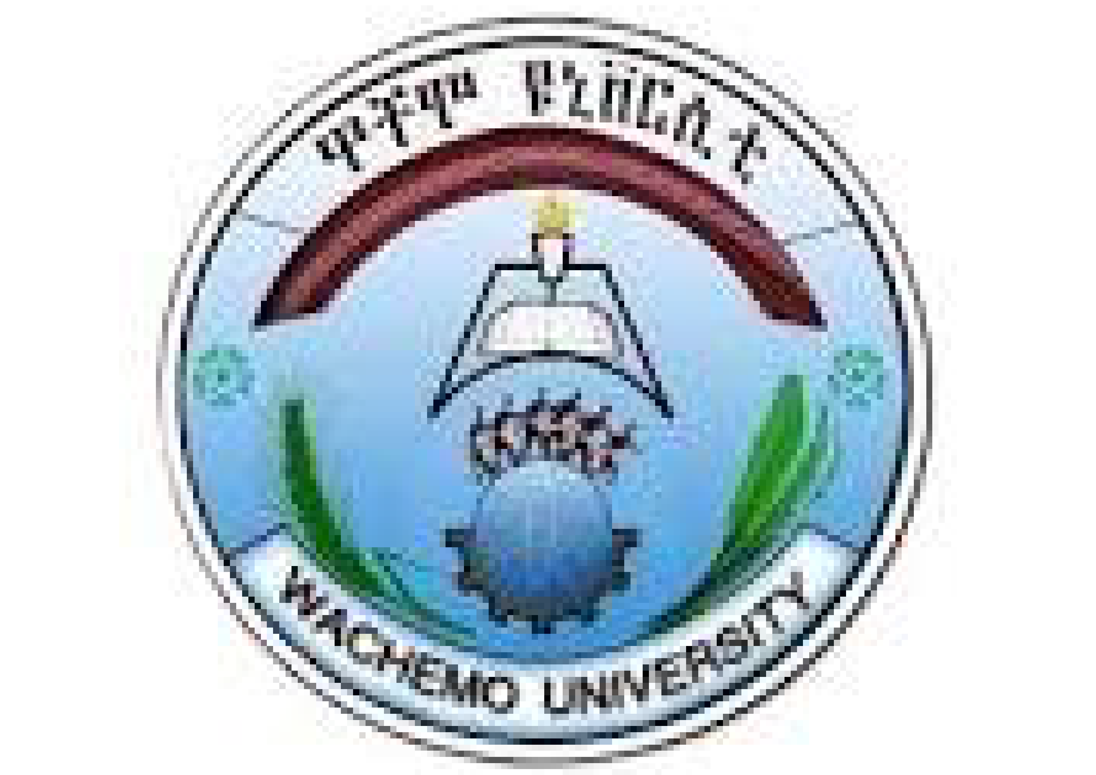 Wachamo University